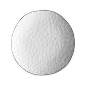 CRISP white appetizer plate with silver rim