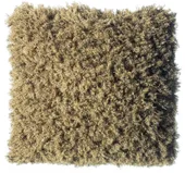 GRUMMER moss cushion #810