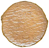 CAMEO gold charger plate