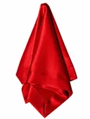 ACCORD red napkin #209/210