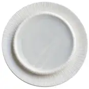 Dining plates rental in Dubai — set your table