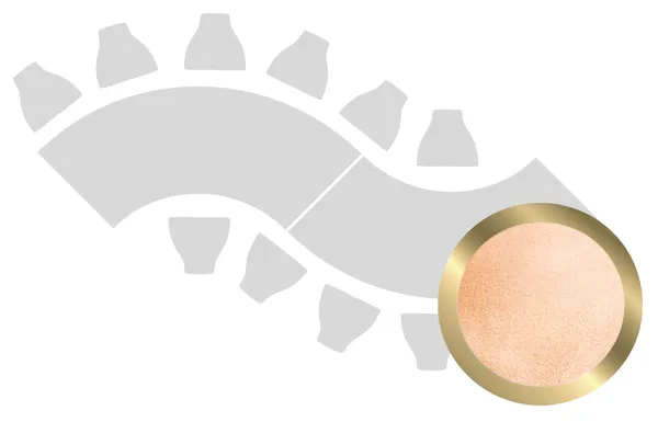 2-section WAVE-SHAPED table set in GOLD with PEACH VELVET top #109