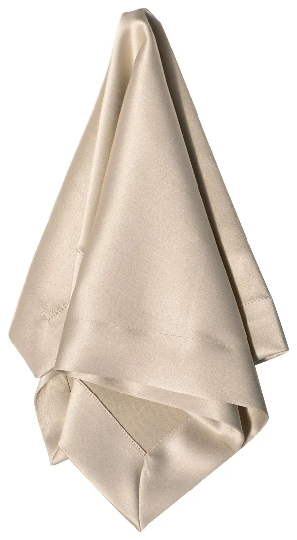ACCORD beige napkin #206