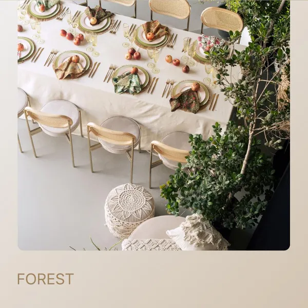 FOREST package — for 8 guests