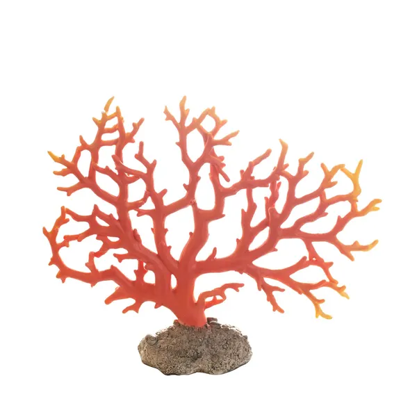 GRIF coral centrepiece