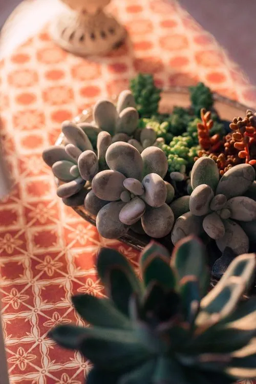 Arabesque Accents — Rectangular Table