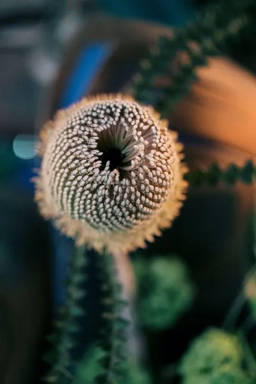 Blue-Green Sequin Gleam — Rectangular Tablescape