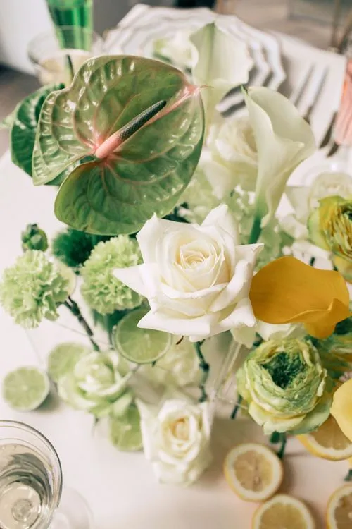 Classic Tablescape — Ombre Palette, Porcelain