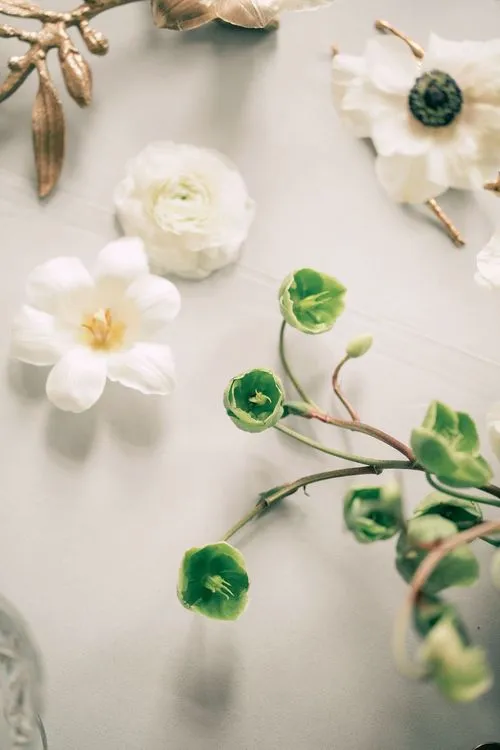 Elegant Set — Gold Accents & Bone China