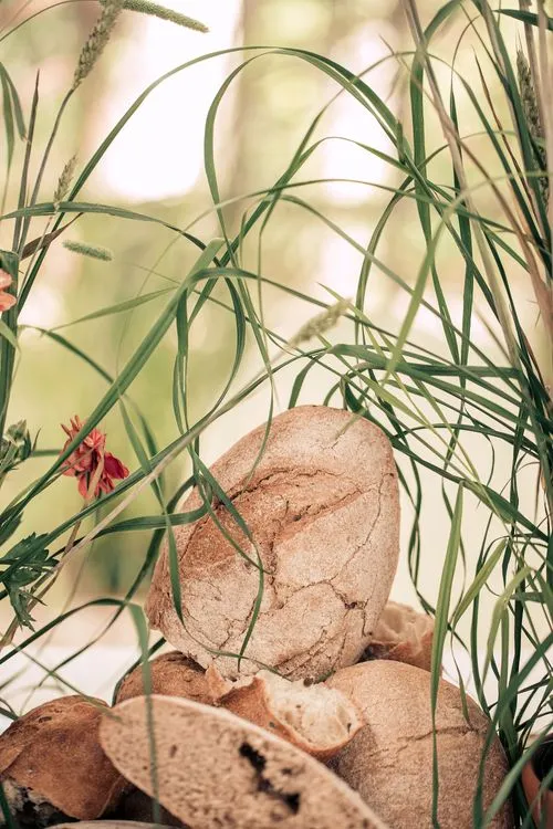 Farm-to-Table Elegance — Rectangular, Luxury Touches