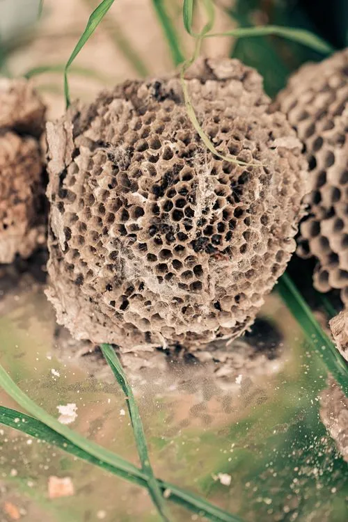 Farm-to-Table Elegance — Rectangular, Luxury Touches