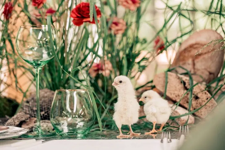 Farm-to-Table Elegance — Rectangular, Luxury Touches