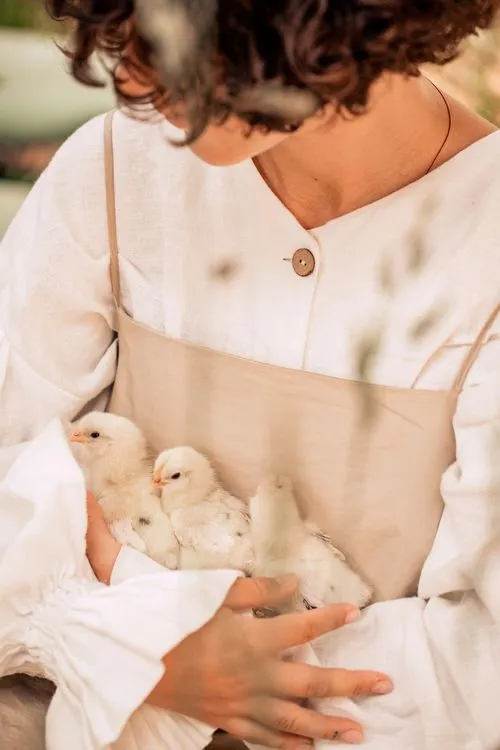 Farm-to-Table Elegance — Rectangular, Luxury Touches