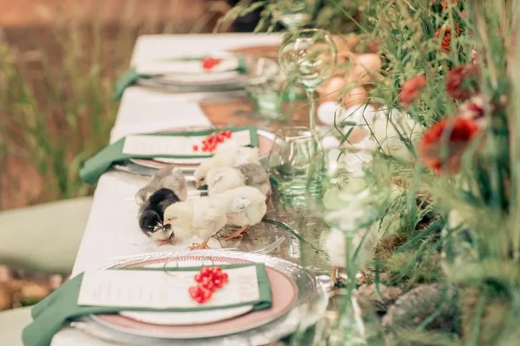 Farm-to-Table Elegance — Rectangular, Luxury Touches