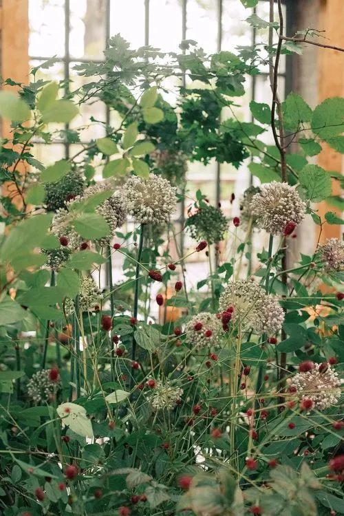 Forest table setting at large round table