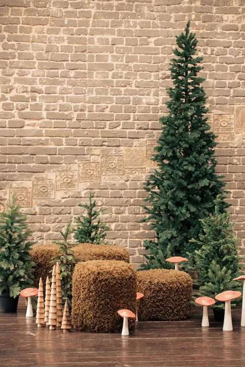 Green Lounge — Velvet Poufs, Sofa & Armchair, Fir & Owls