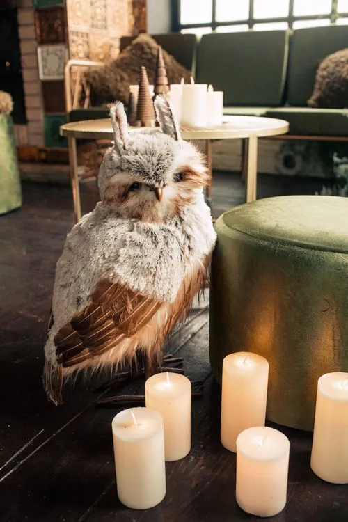 Green Lounge — Velvet Poufs, Sofa & Armchair, Fir & Owls