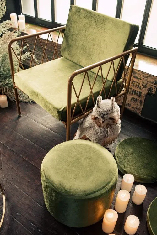 Green Lounge — Velvet Poufs, Sofa & Armchair, Fir & Owls