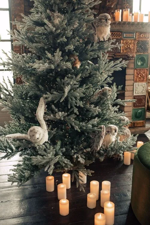 Green Lounge — Velvet Poufs, Sofa & Armchair, Fir & Owls