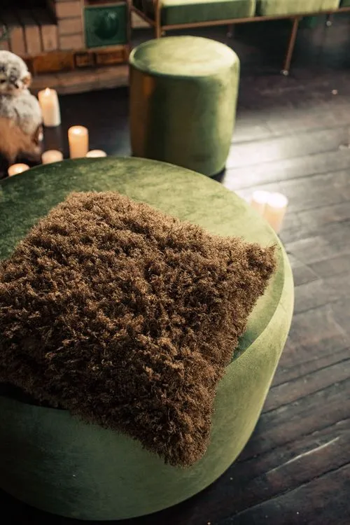 Green Lounge — Velvet Poufs, Sofa & Armchair, Fir & Owls