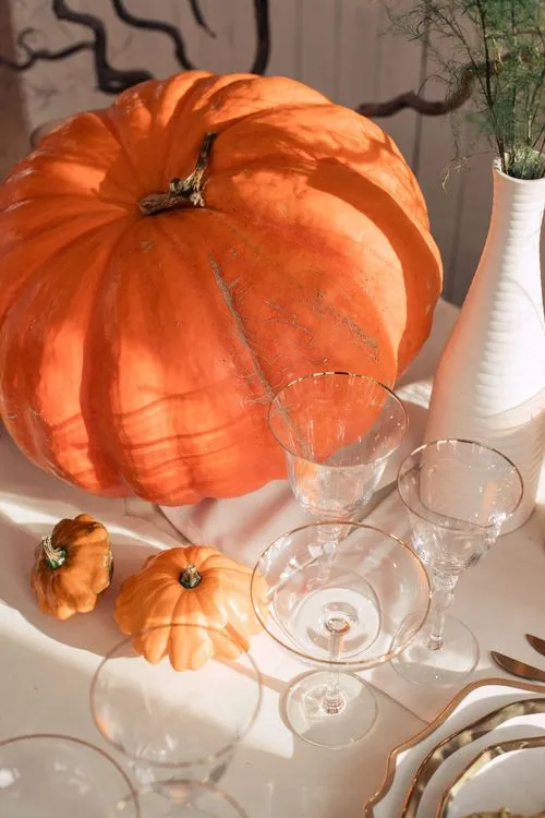 Harvest Lunch — Pumpkins & Warm Tones