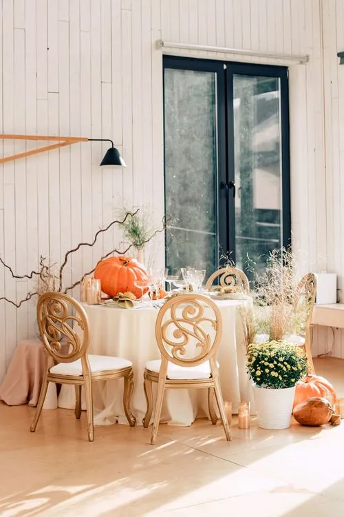 Harvest Lunch — Pumpkins & Warm Tones
