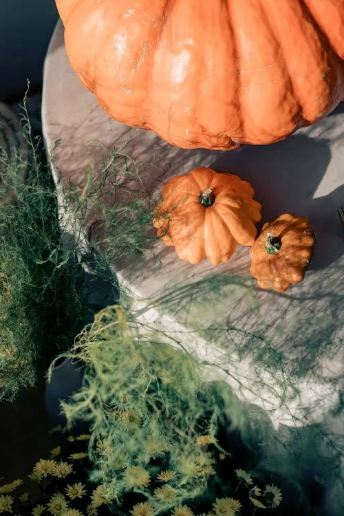 Harvest Lunch — Pumpkins & Warm Tones