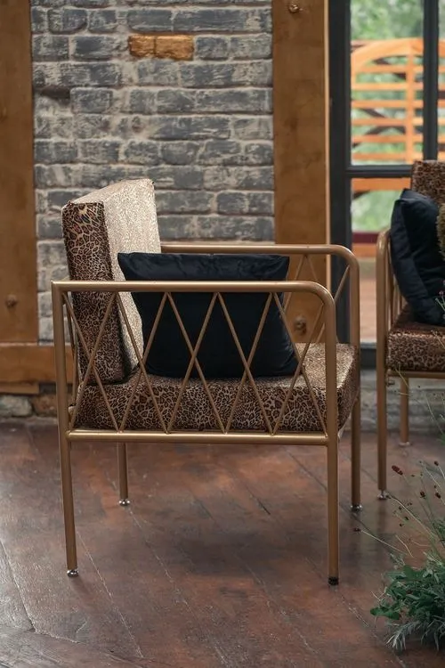 Leopard lounge setup