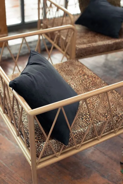 Leopard lounge setup