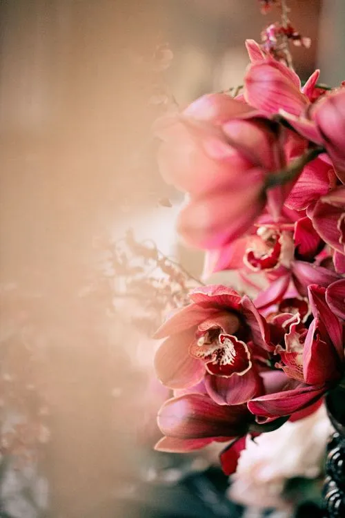 Opulent Florals in Cocoa & Nude — Round Table