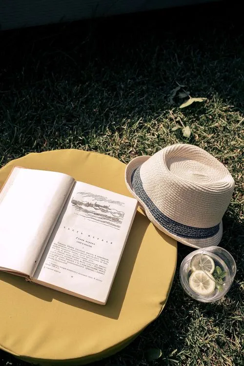 Outdoor picnic setup