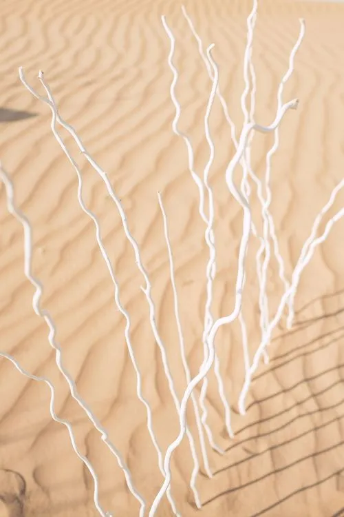 Pink desert lounge setup with ottomans