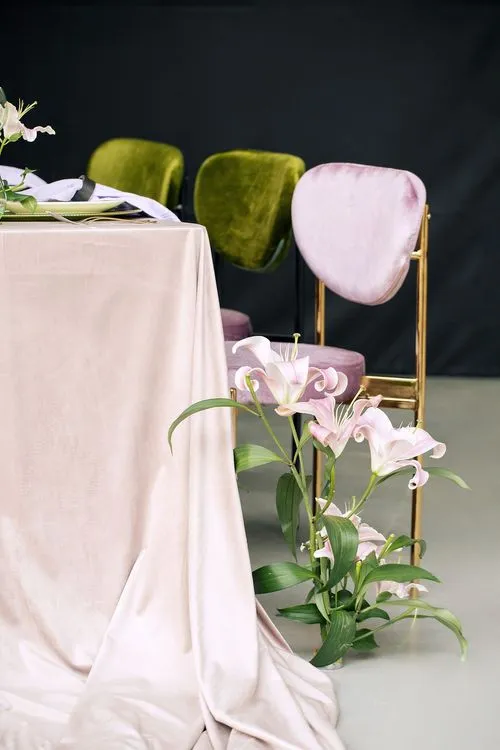 Velvet chairs lilac green shades